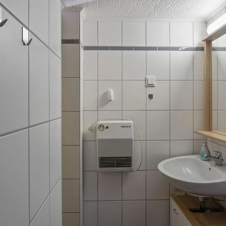 Holiday In The Forest