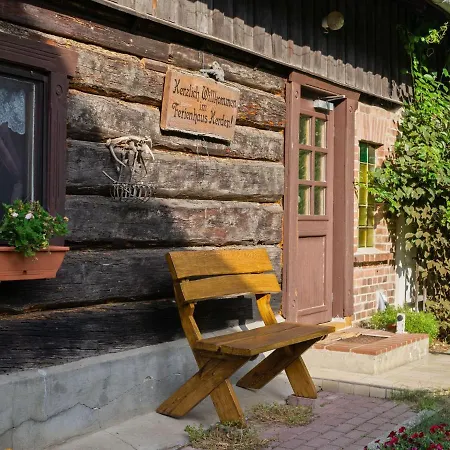 Holiday In The Forest Holiday home