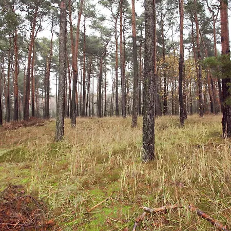 Semesterbostad Holiday In The Forest *