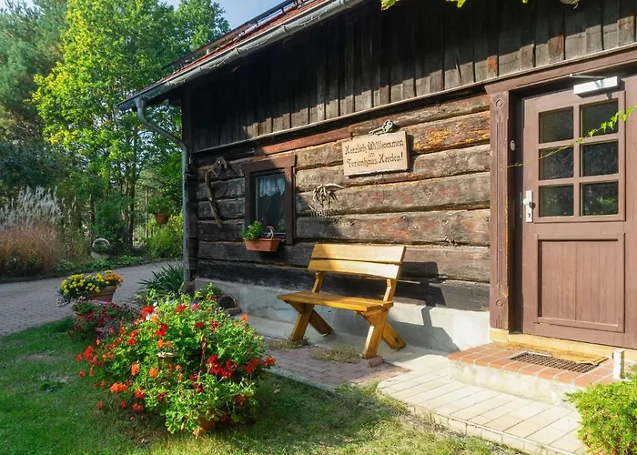 Holiday In The Forest *