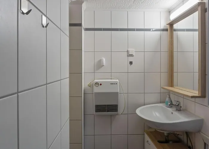 Holiday In The Forest