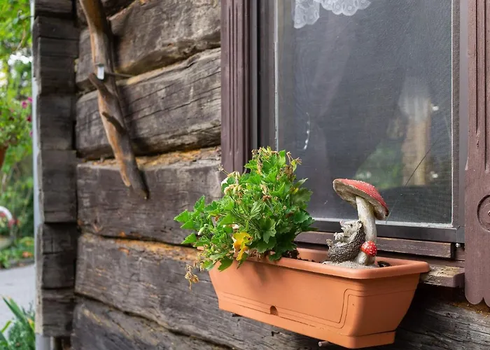 Holiday In The Forest Tatil Evi *