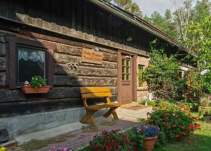 Holiday In The Forest *