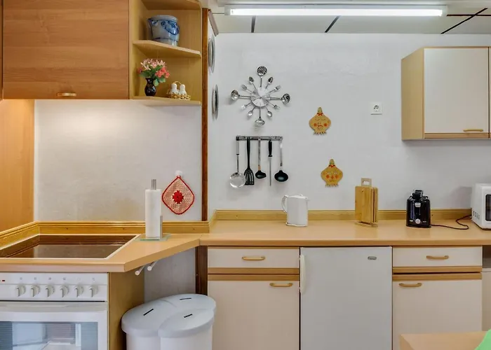 Tatil Evi Holiday In The Forest